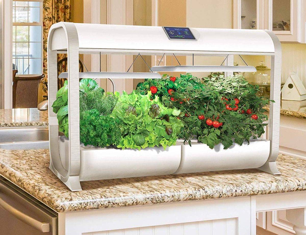 Rise Gardens Smart Hydroponic Gardening Touch