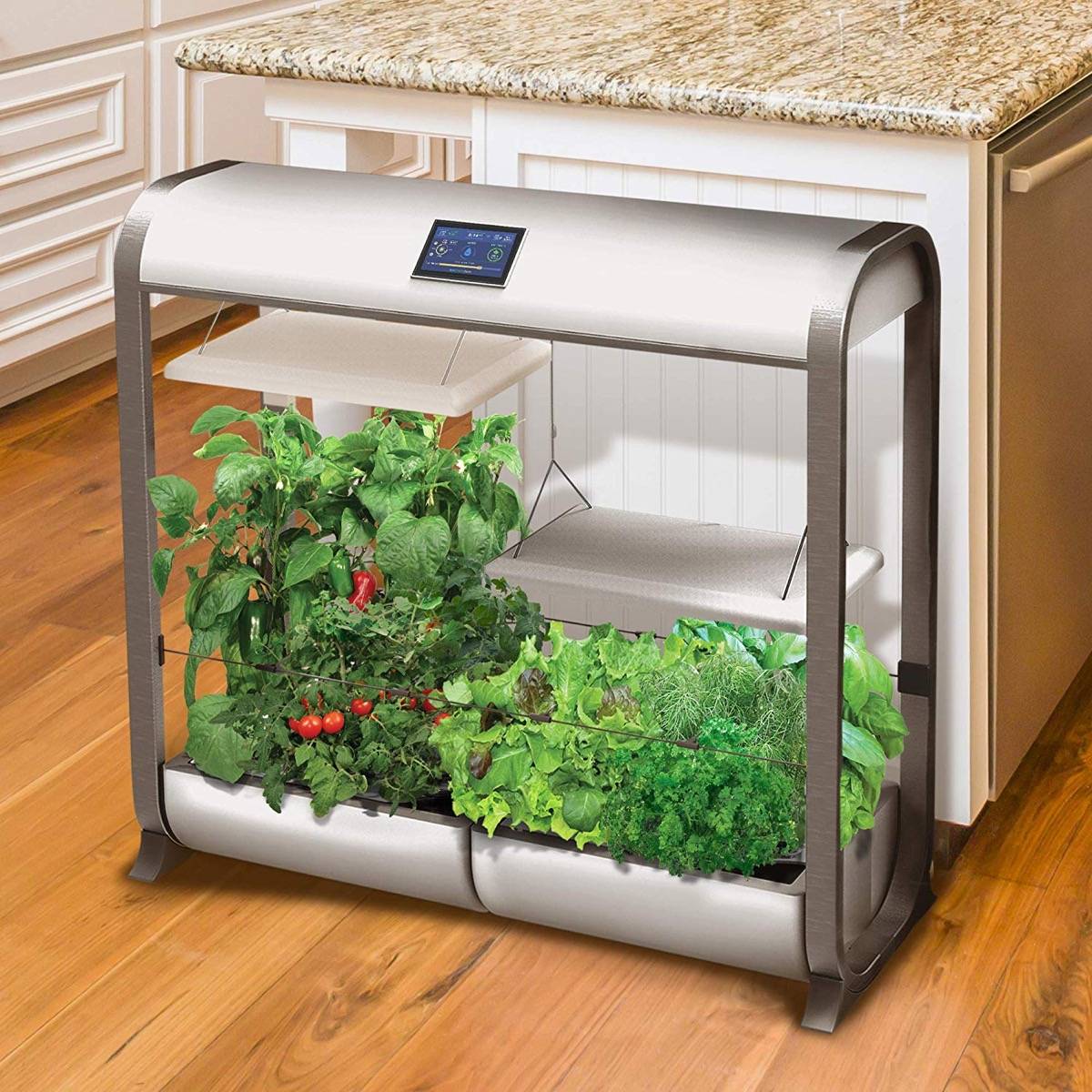 Indoor Garden