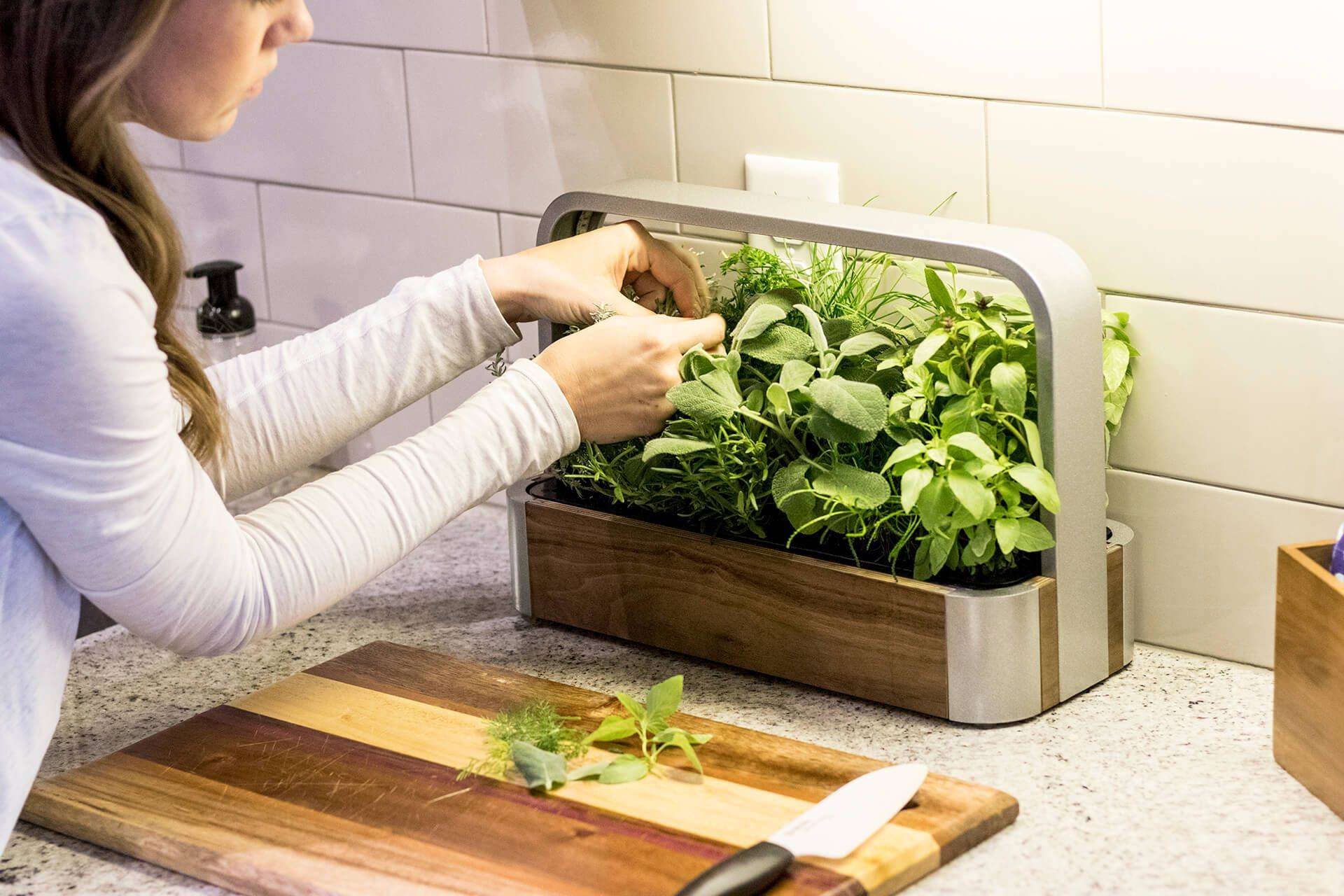 Rise Gardens Indoor Gardening