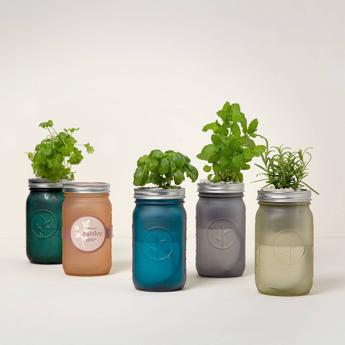 Easy Indoor Herb Garden Kits