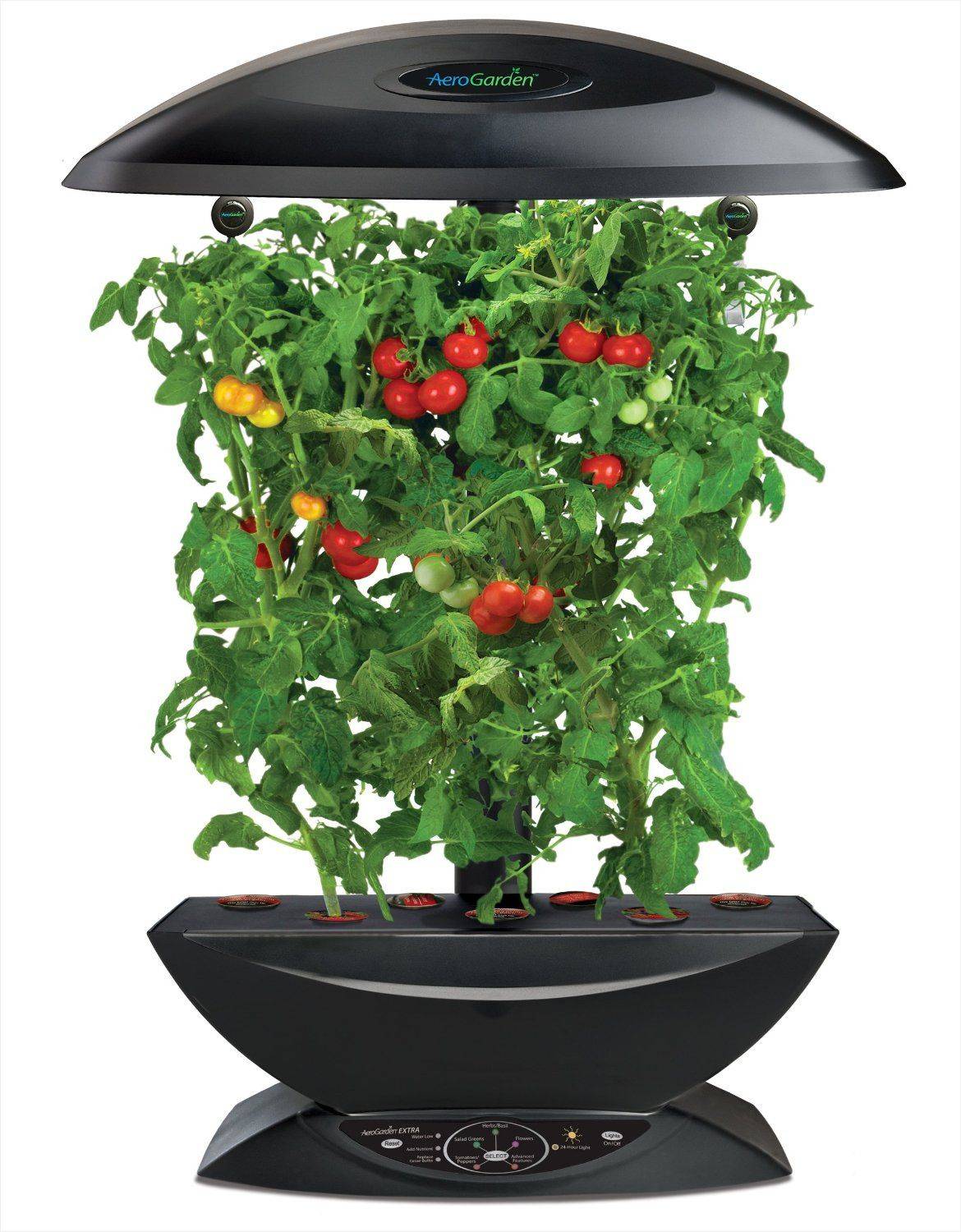 Easy Indoor Herb Garden Kits