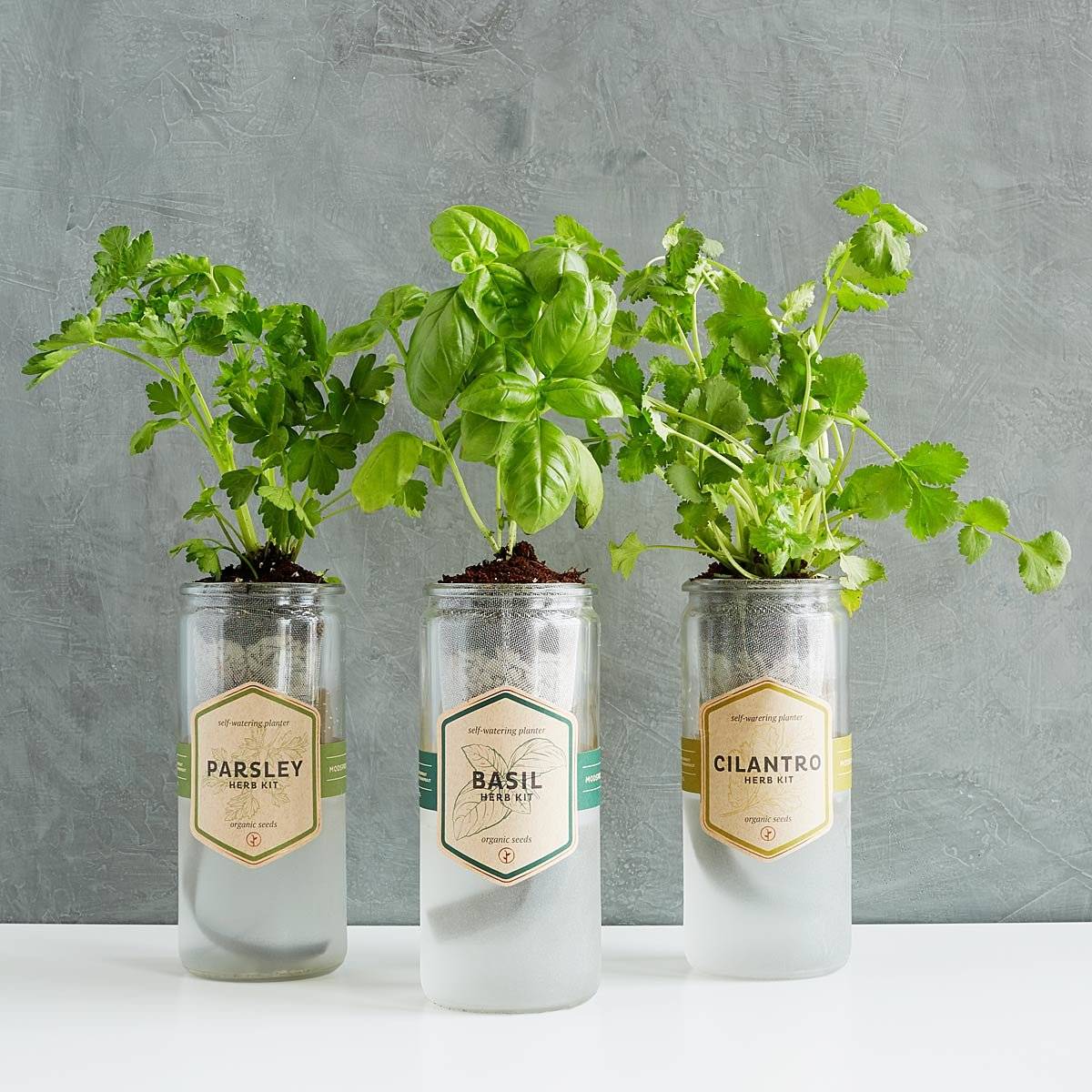 Easy Indoor Herb Garden Kits