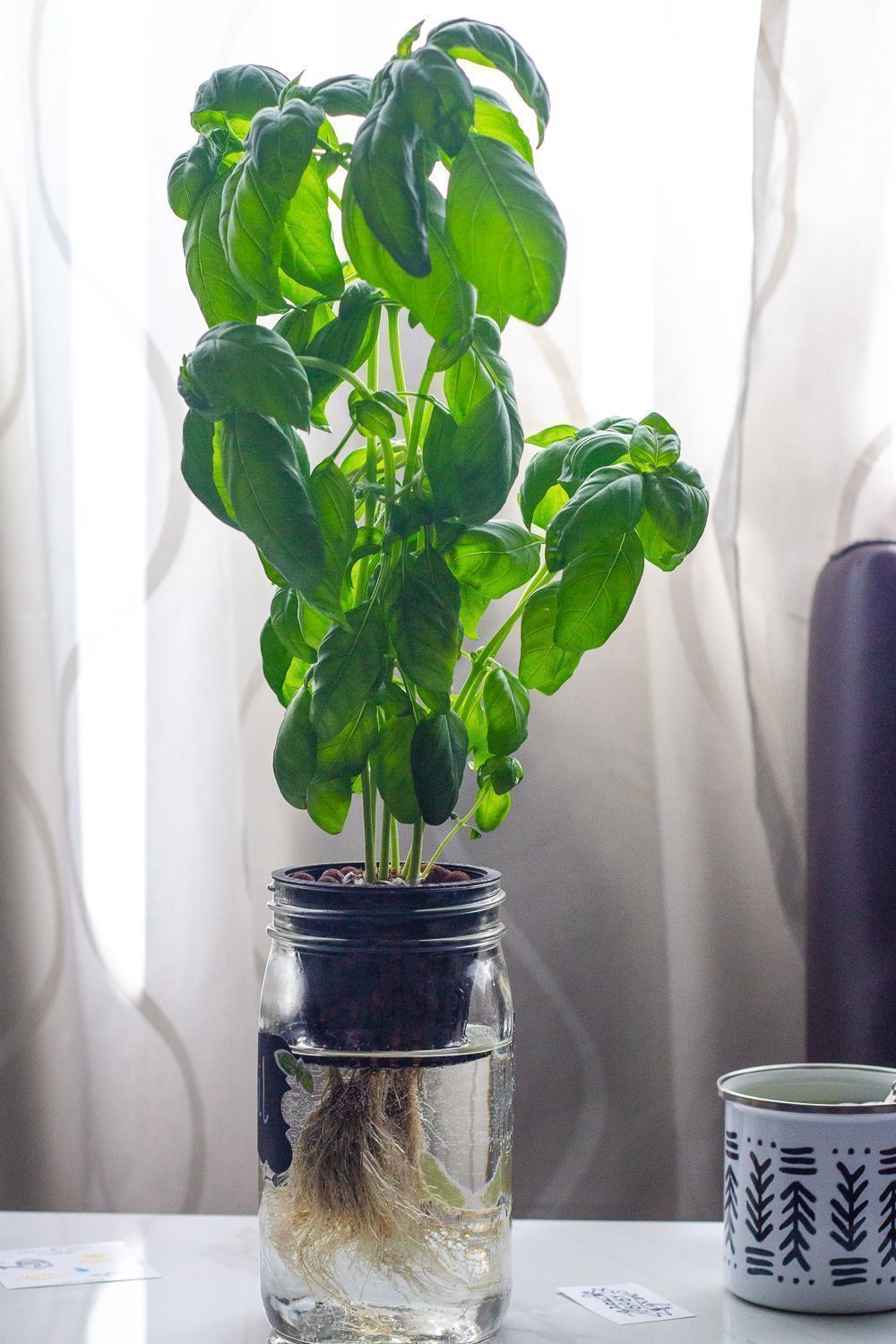 Hydroponic Gardening Kits Natural Indoor Hydroponic Gardening Systems