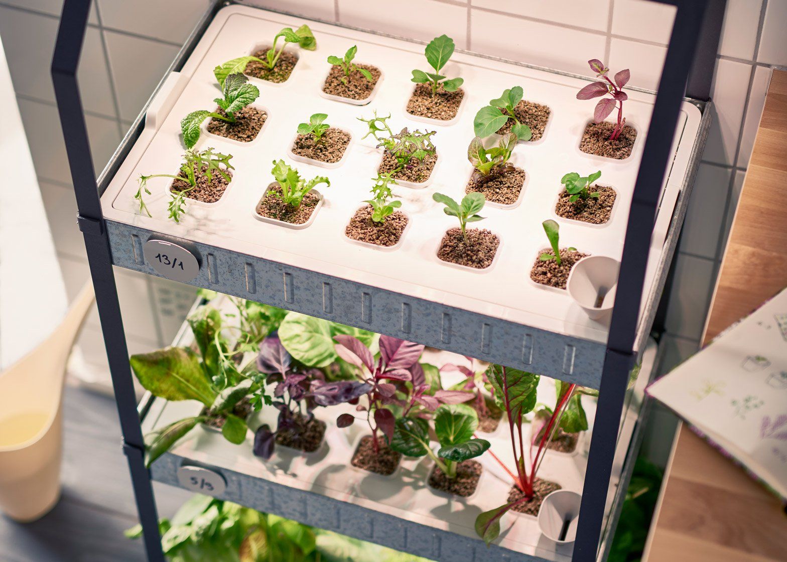 Hydroponics Growing System Indoor Herb Garden Planter Starter Kit
