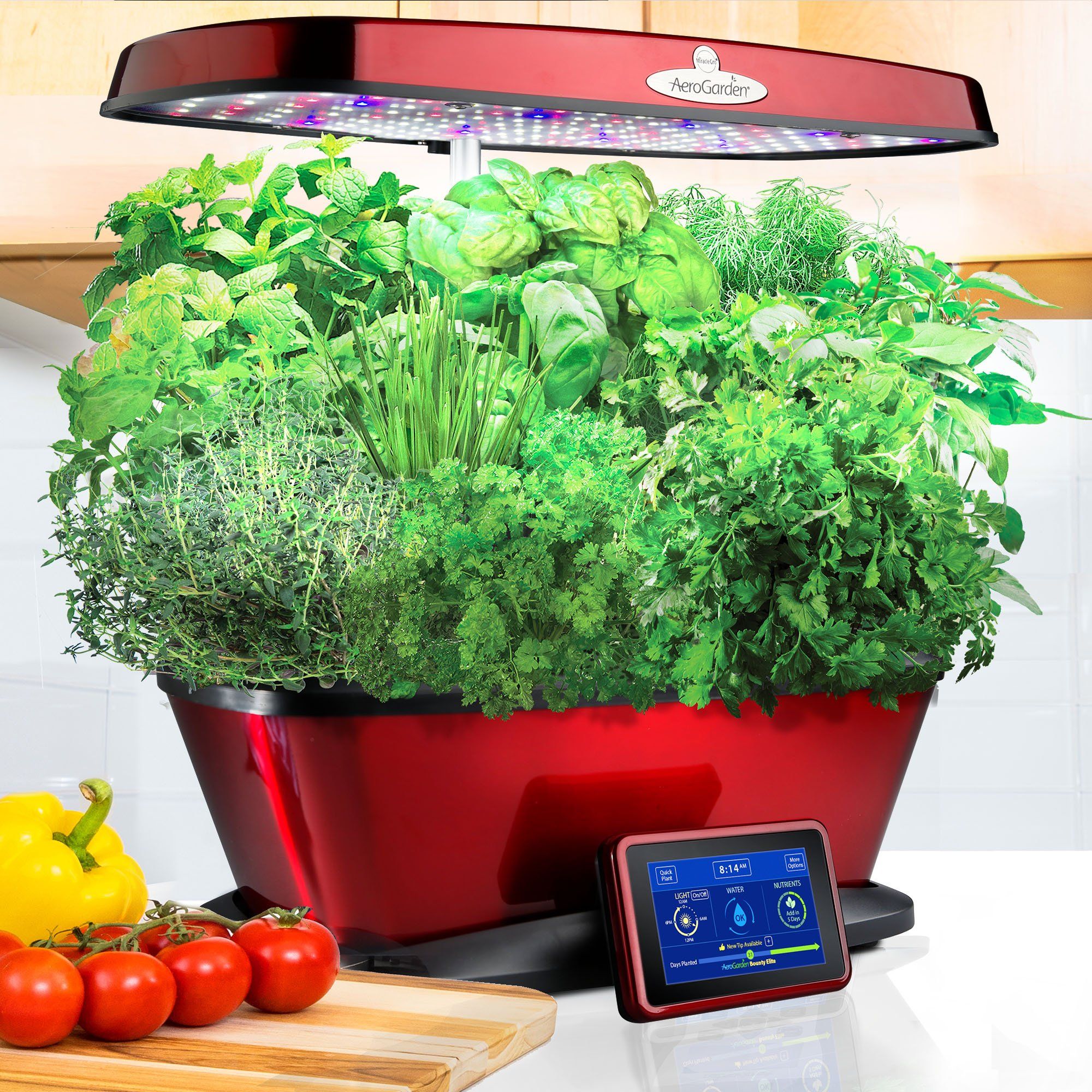 Indoor Herb Garden Starter Kit