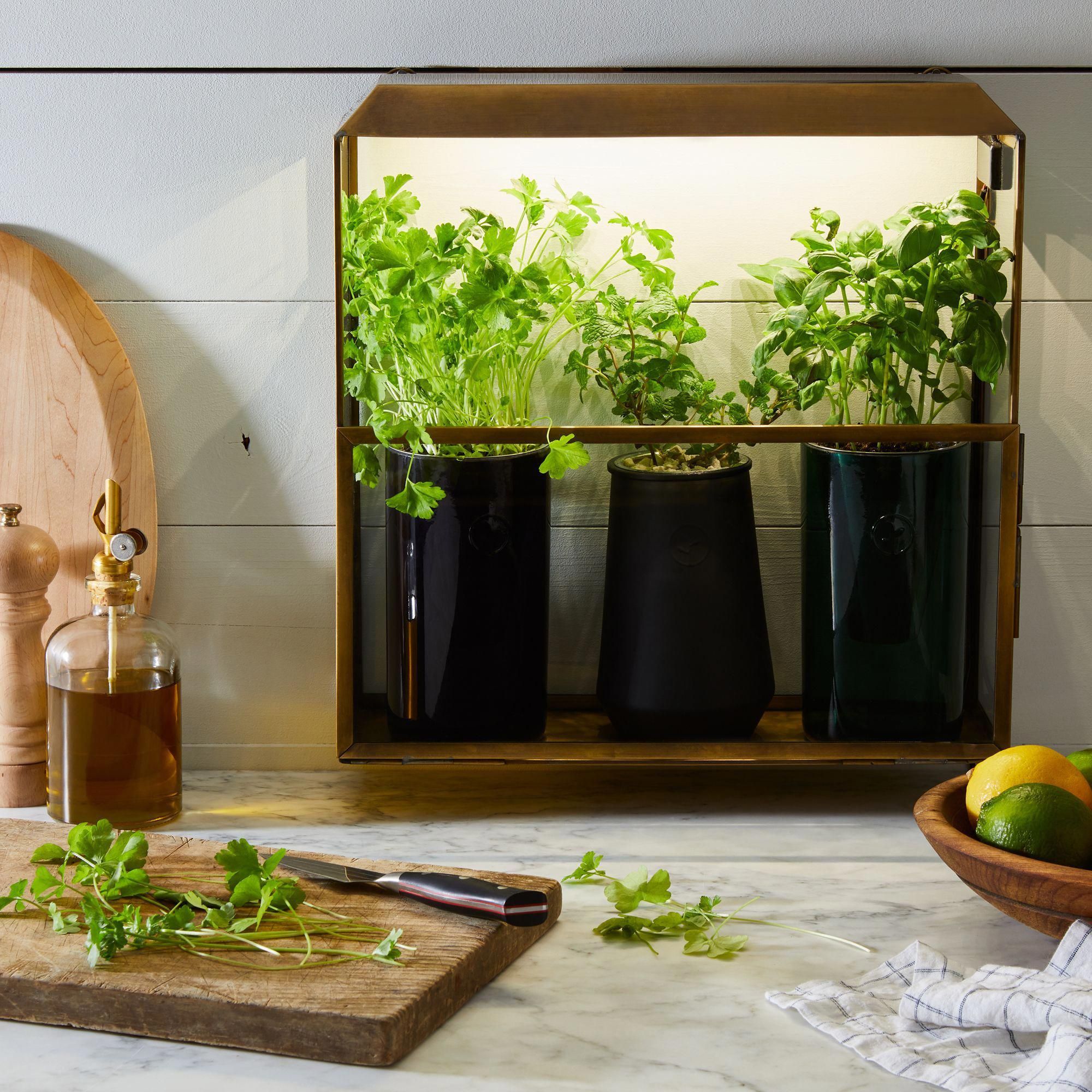 A Hydroponic Indoor Gardening Kit