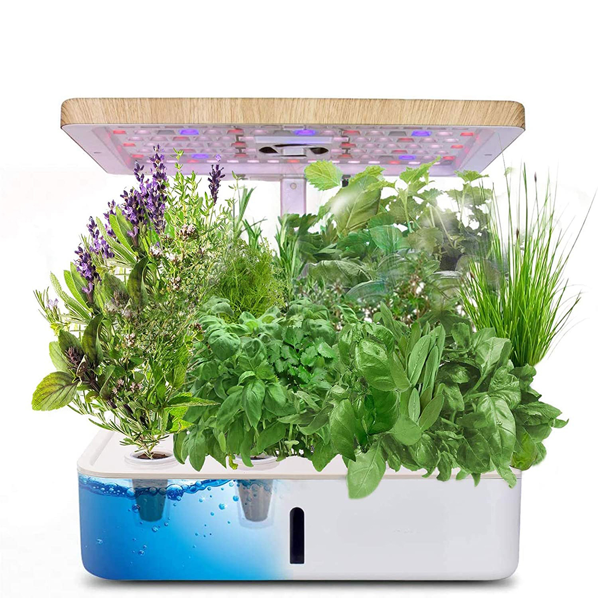 Indoor Herb Garden Kit Hydroponics Grow Kit