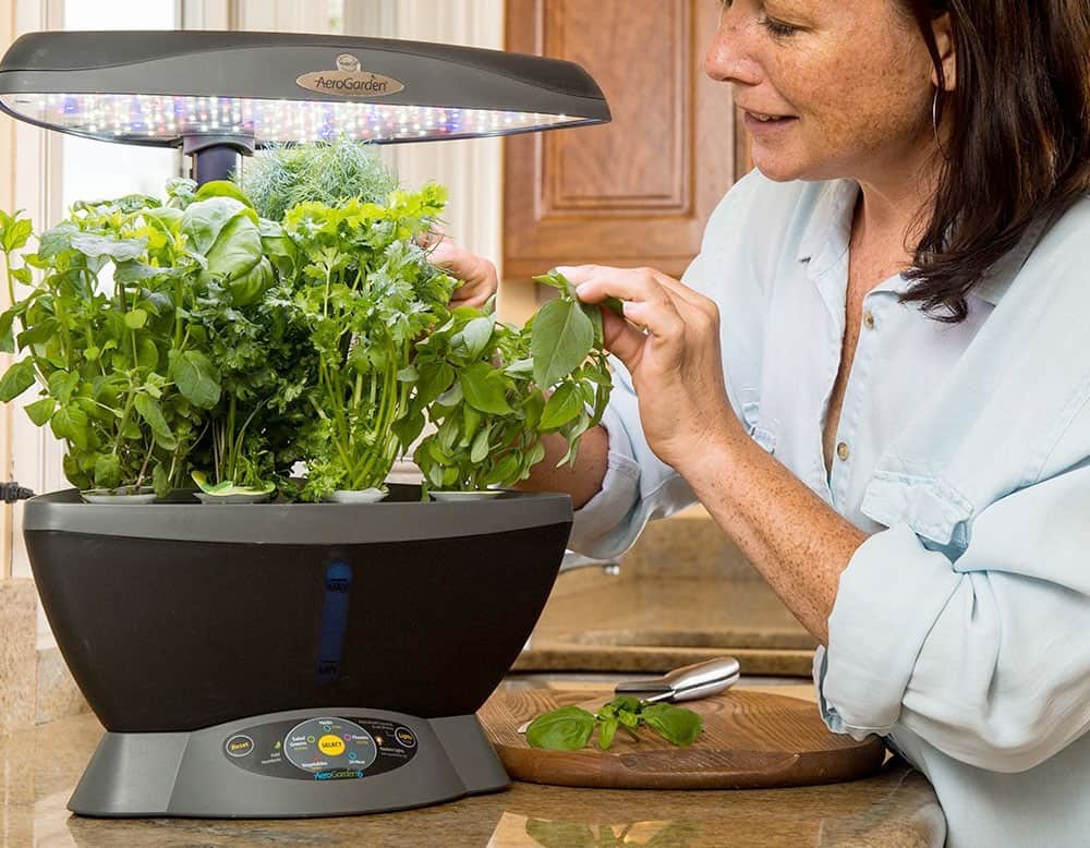 Ivation Indoor Herb Garden Kit Walmart Canada