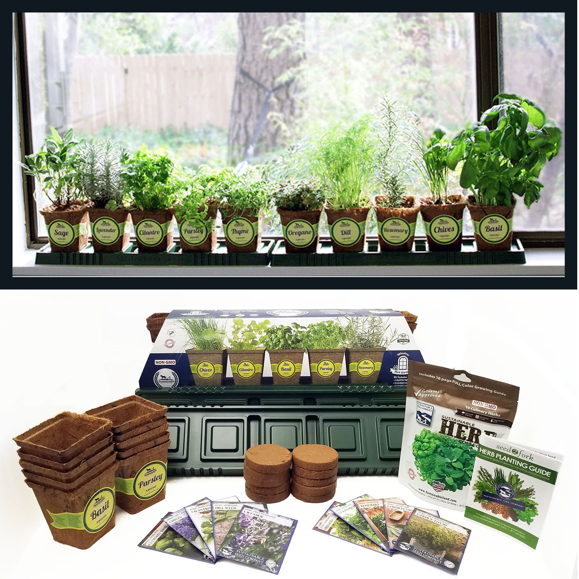 Top Best Indoor Herb Garden Kits Reviews