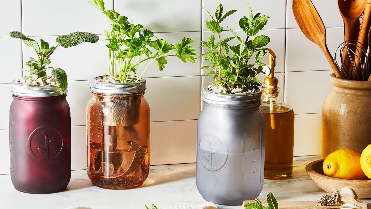 Windowsill Herb Garden Kit