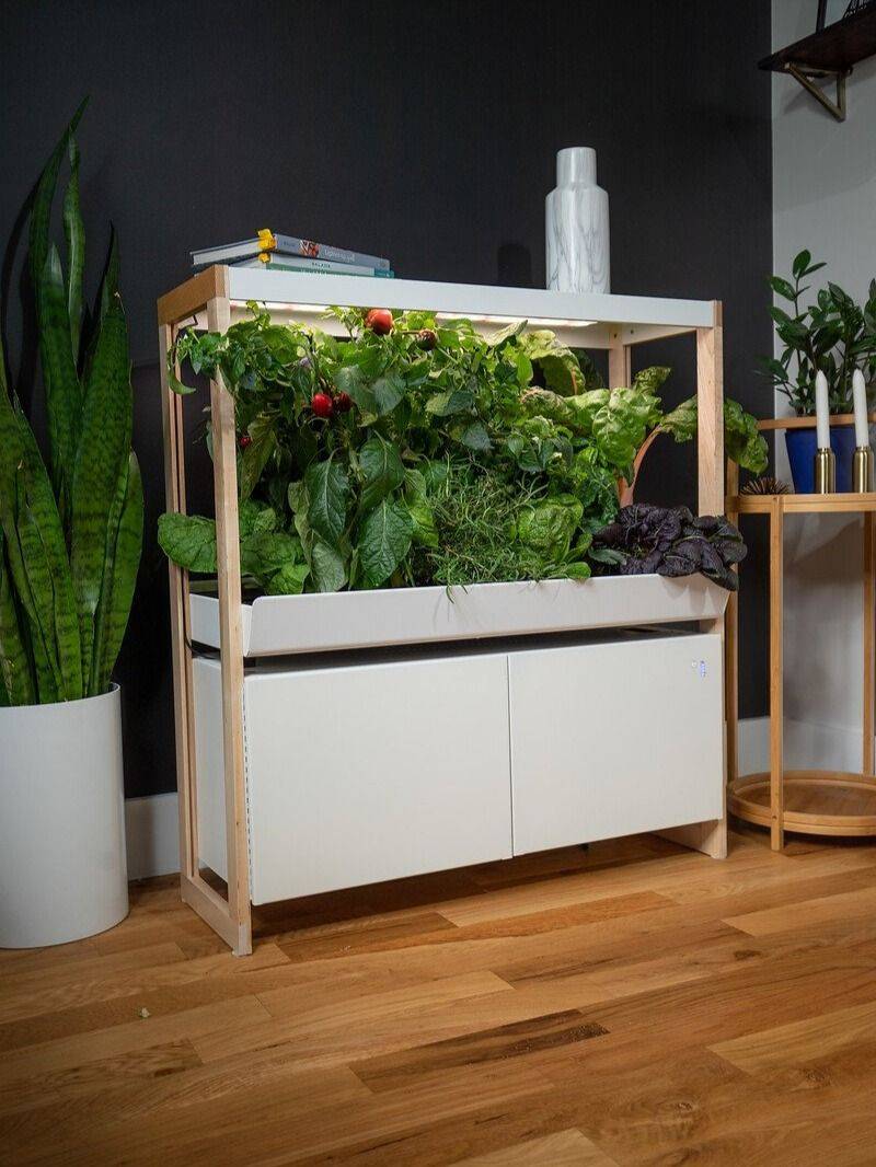 Awesome Indoor Hydroponic Wall Garden Design Ideas Hydroponic