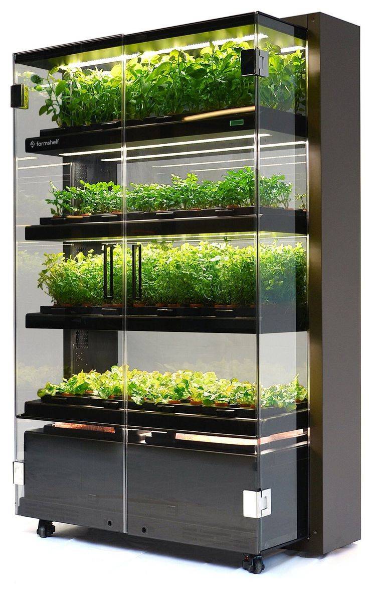 Awesome Indoor Hydroponic Wall Garden Design Ideas