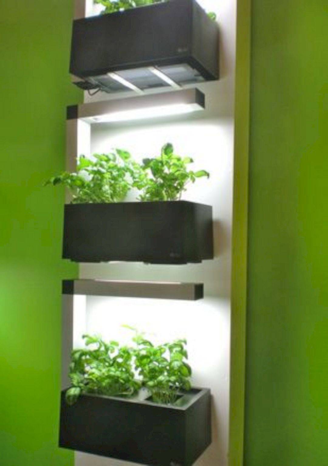 Inspiring Hydroponic Gardening Ideas
