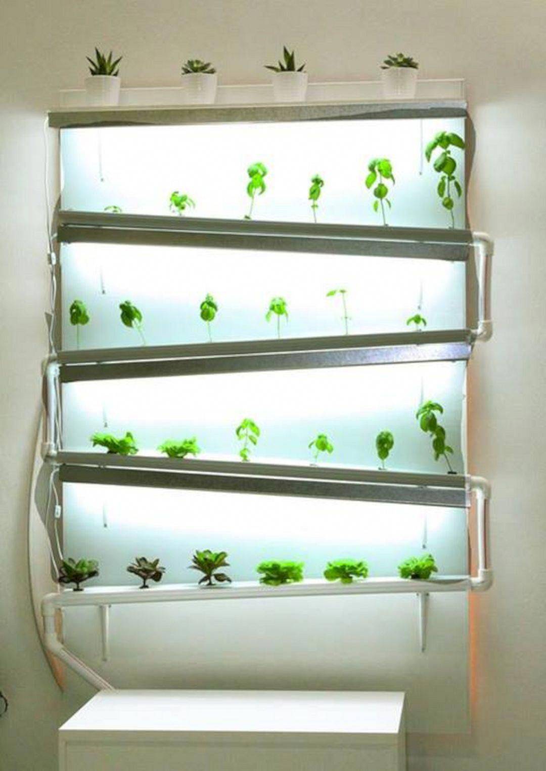 Aerogarden Farm Plus Hydroponic Garden