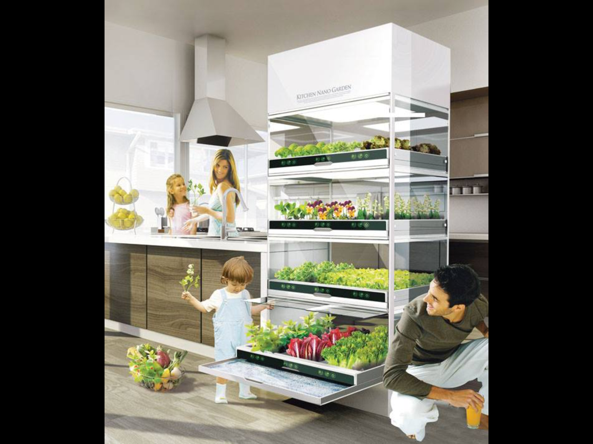 Hydroponicgardens Aquaponics Greenhouse