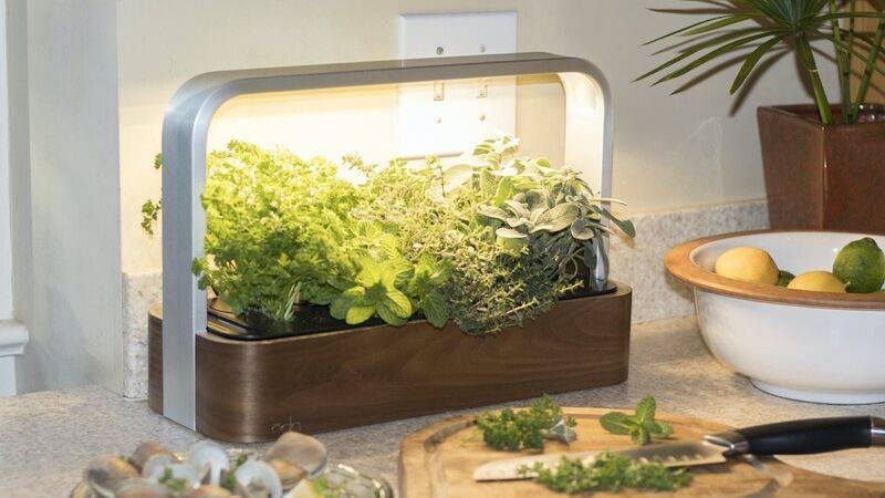 Idoo Pods Indoor Herb Garden Kit