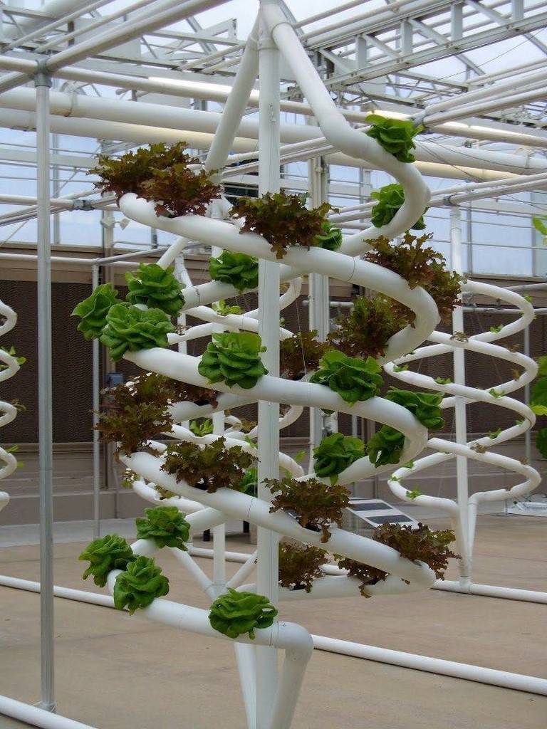 Indoor Hydroponic Garden Ideas