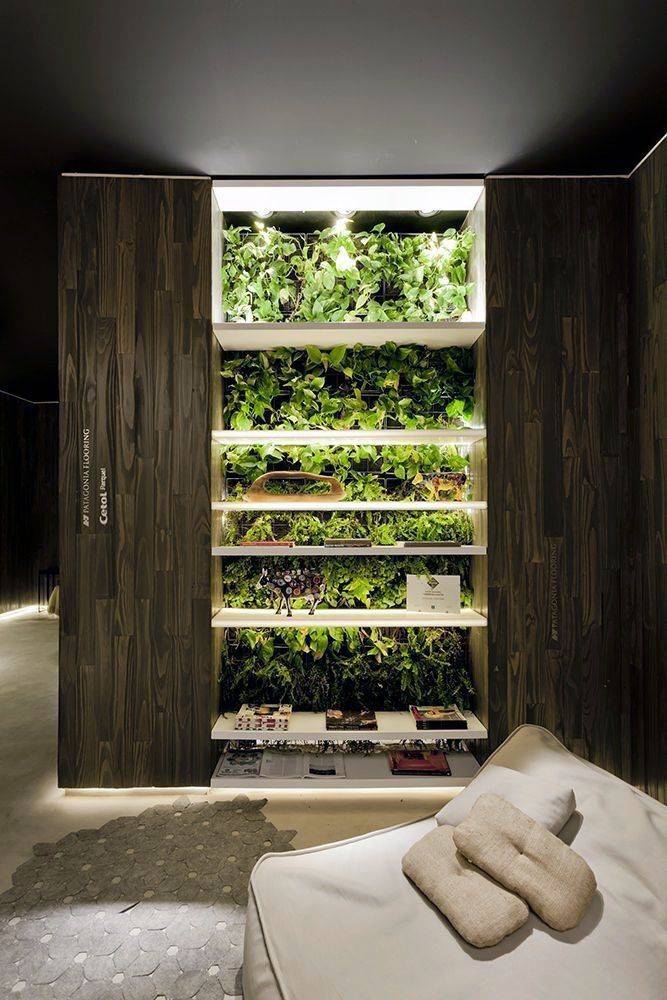 Indoor Hydroponic Garden Ideas