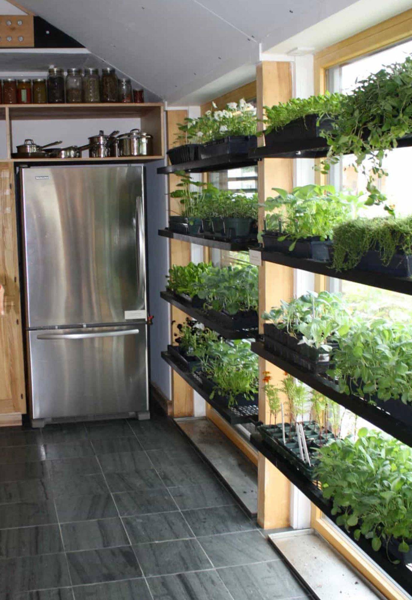 Indoor Hydroponic Wall Garden Decorathing