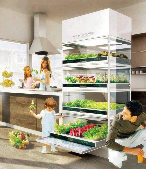 Indoor Hydroponic Wall Garden