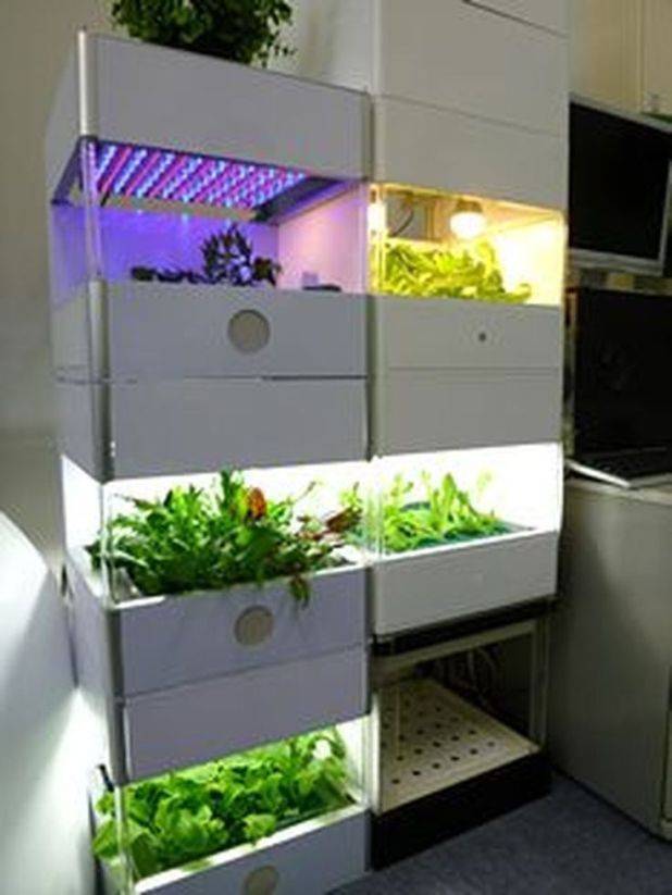 Top Best Hydroponic Herb Gardens