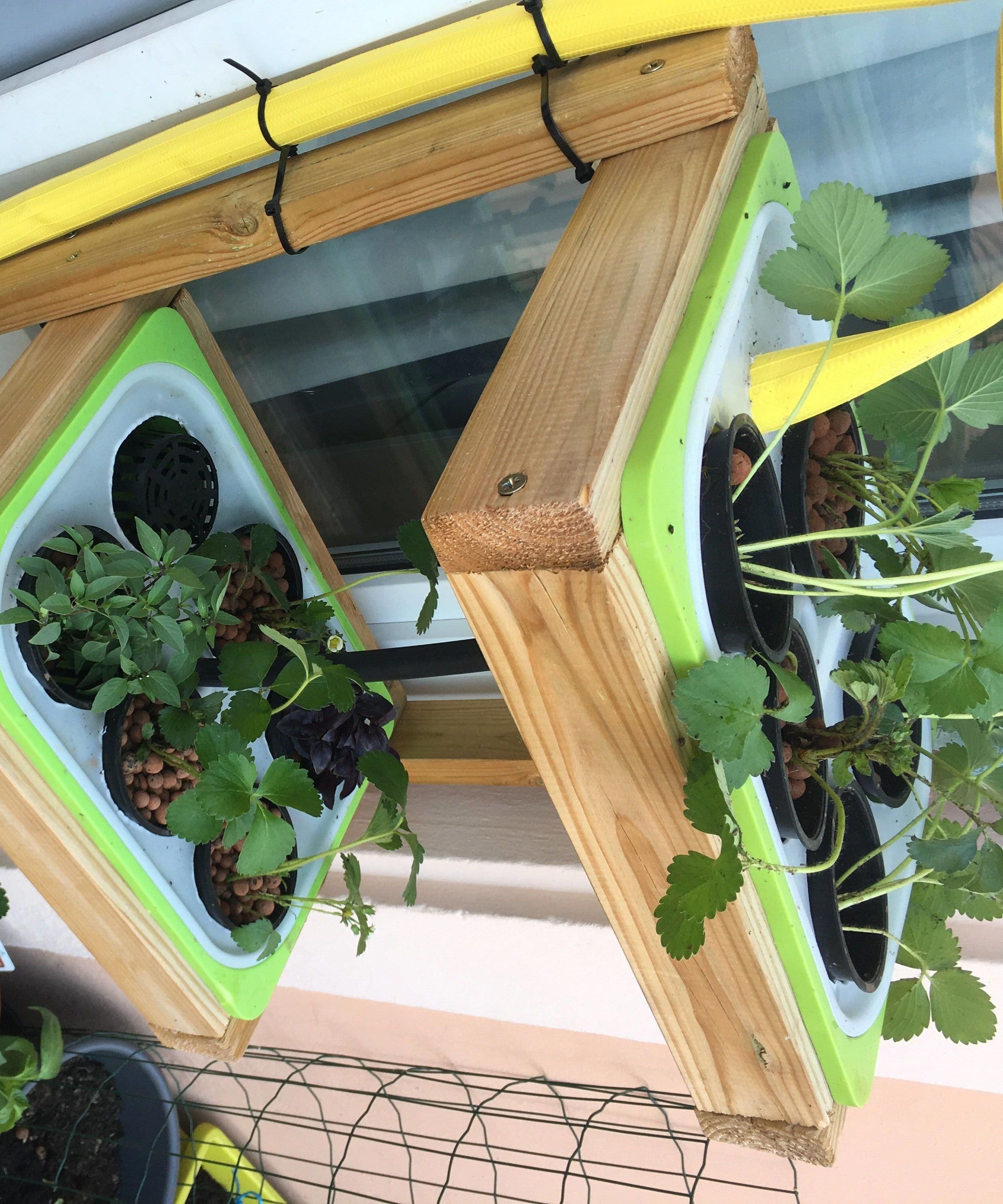 Vertical Hydroponic Gardening
