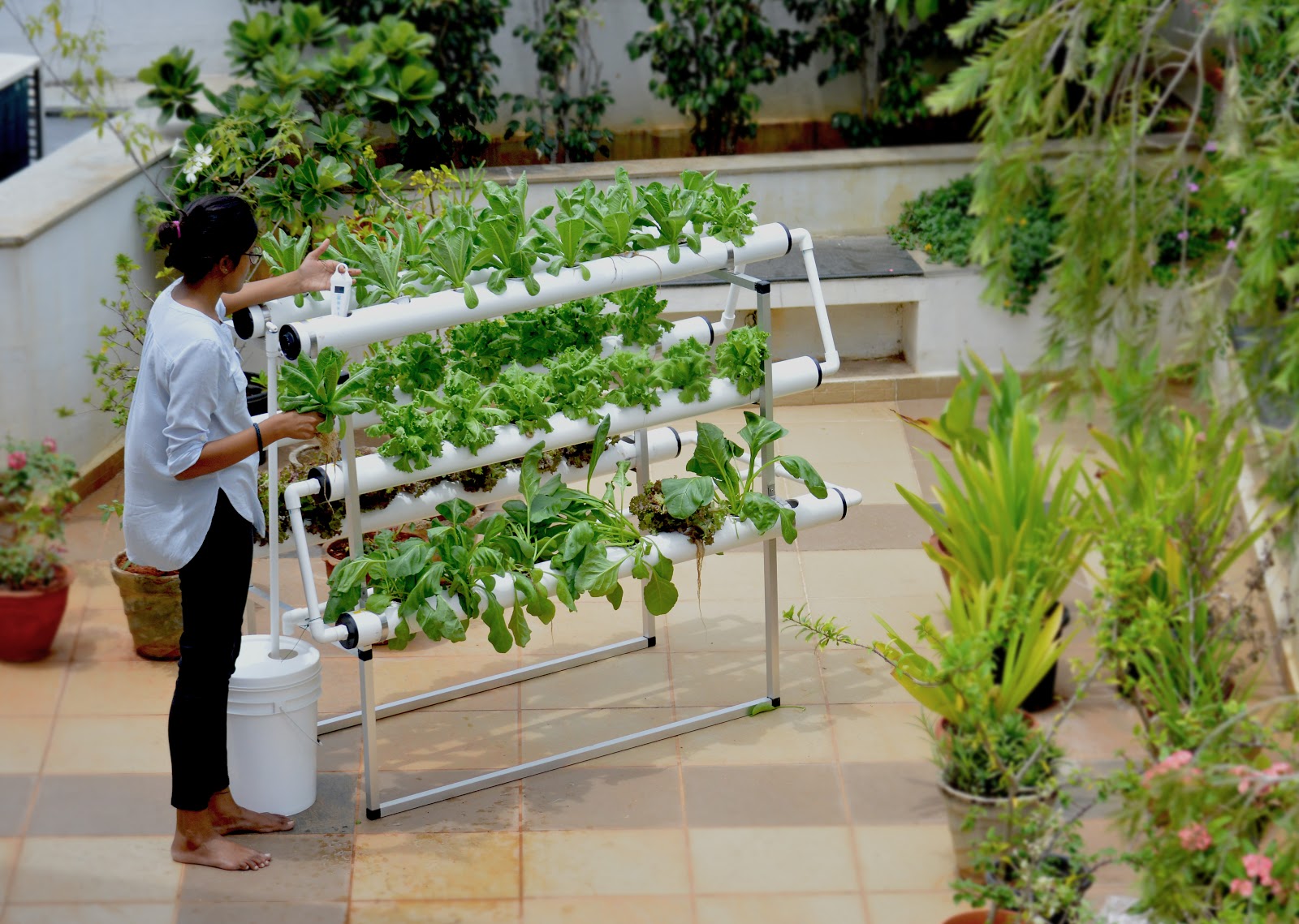 Hydroponic Gardening Kit Outdoor Decorations