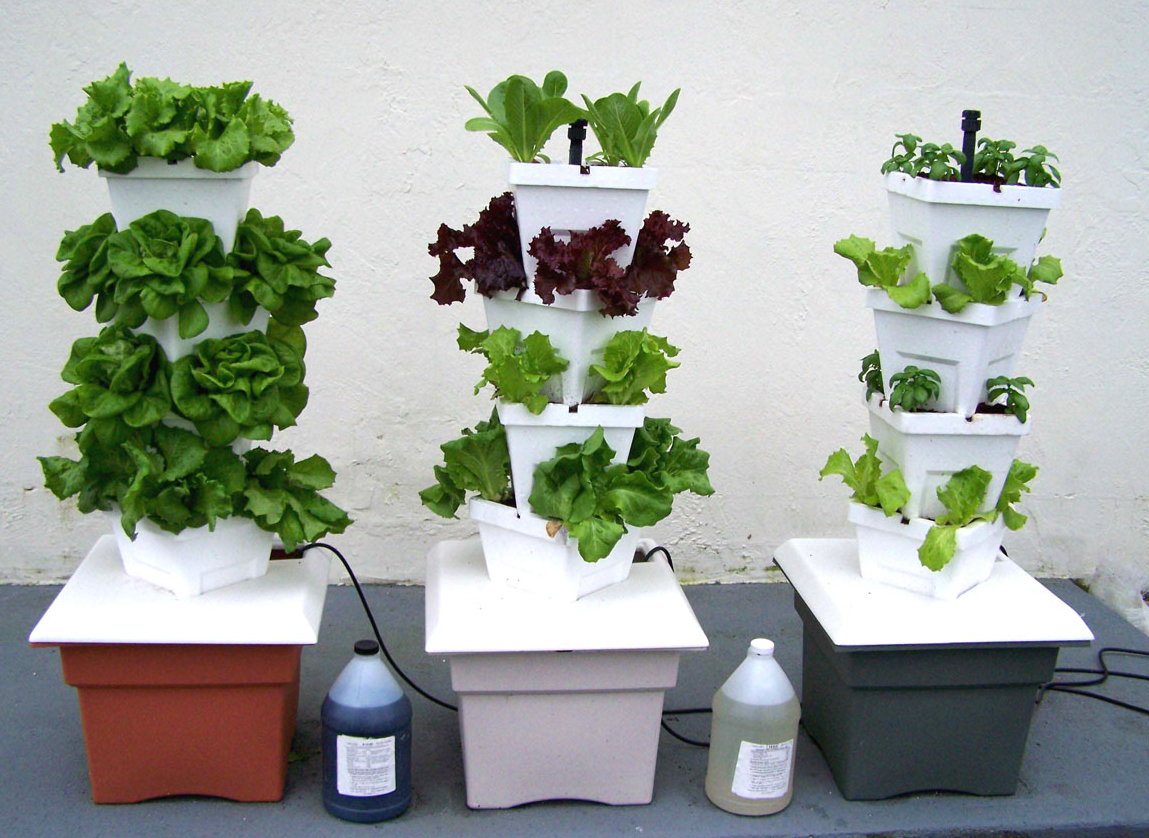 Hydroponicgardens Aquaponics Greenhouse