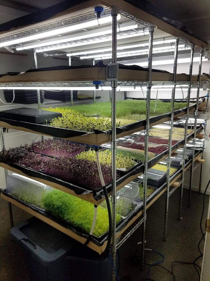 Nice Incredible Hydroponic Garden