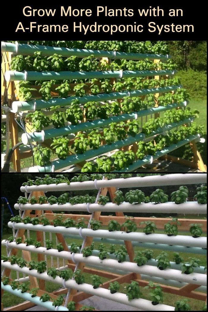 A Productive Garden