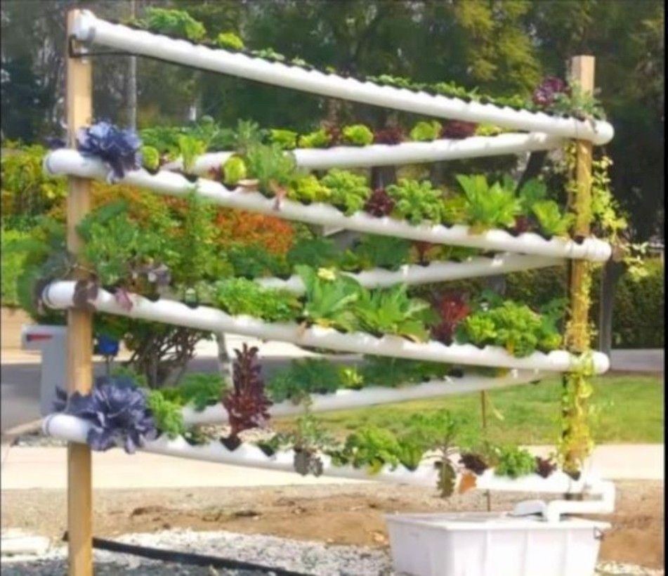 Diy Pvc Pipe Planters