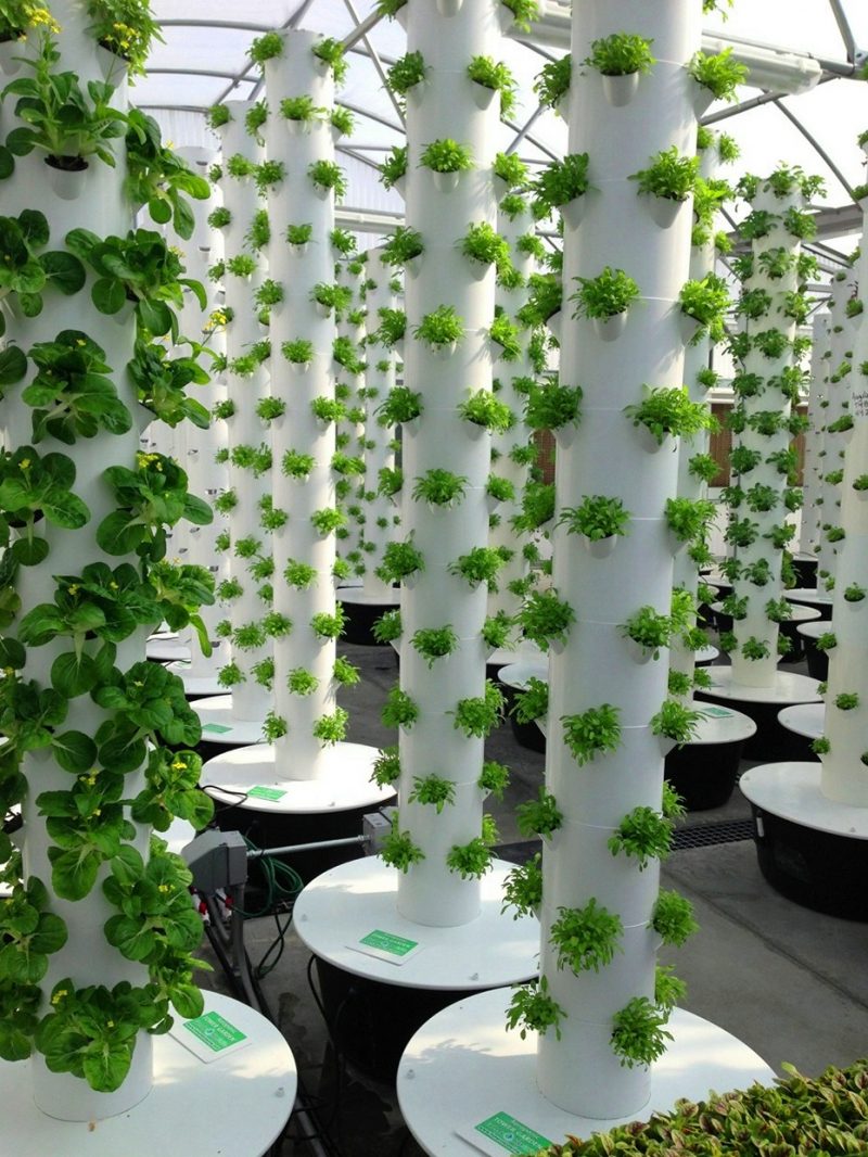 Hydroponic Garden Out Of Pvc Garden Design