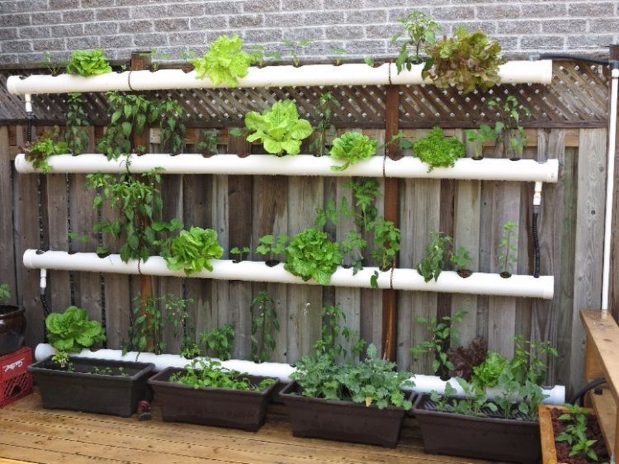 Pvc Hydroponic Garden Garden Ftempo