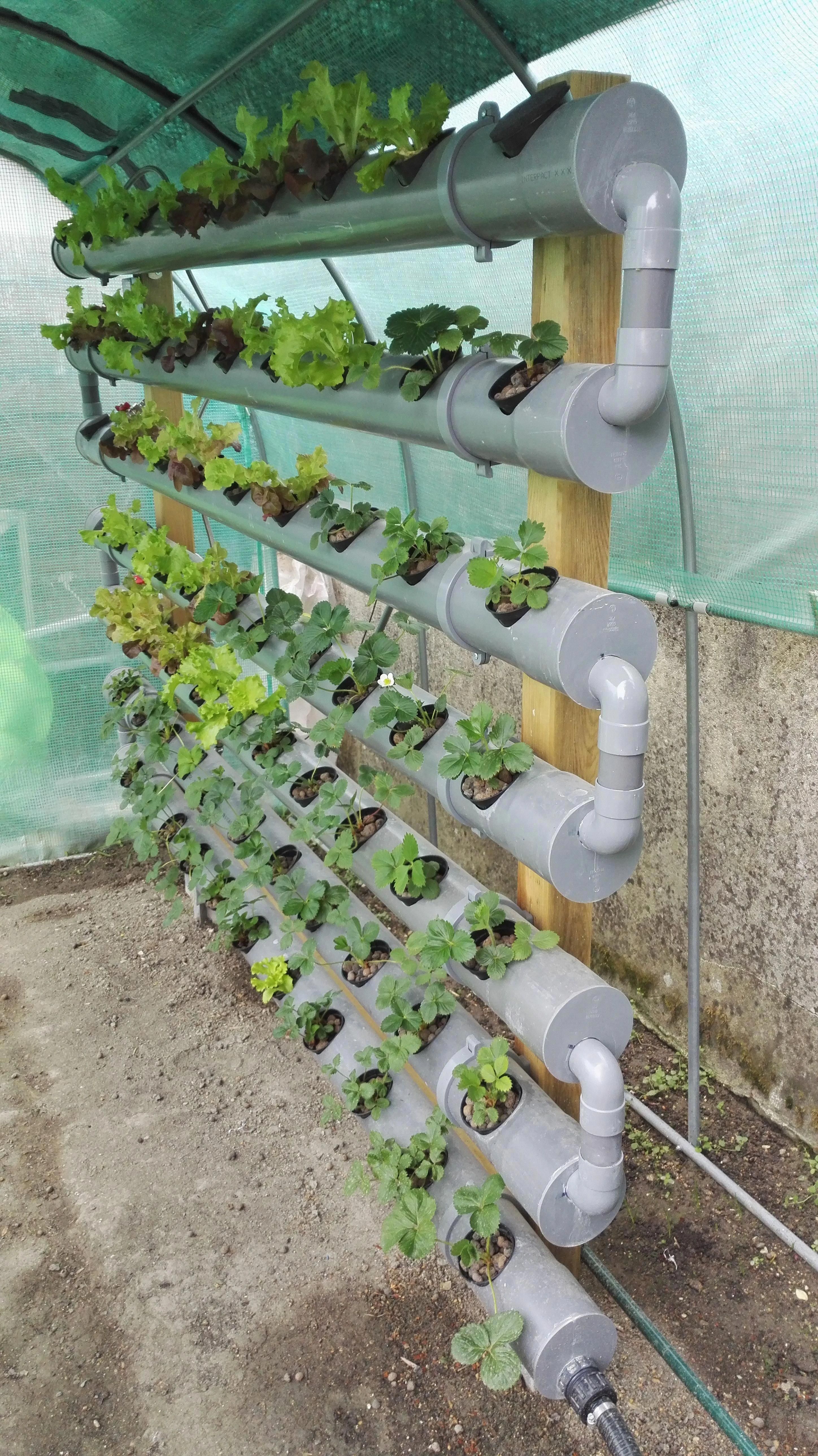 Vertical Hydroponic Garden Pvc Pipe