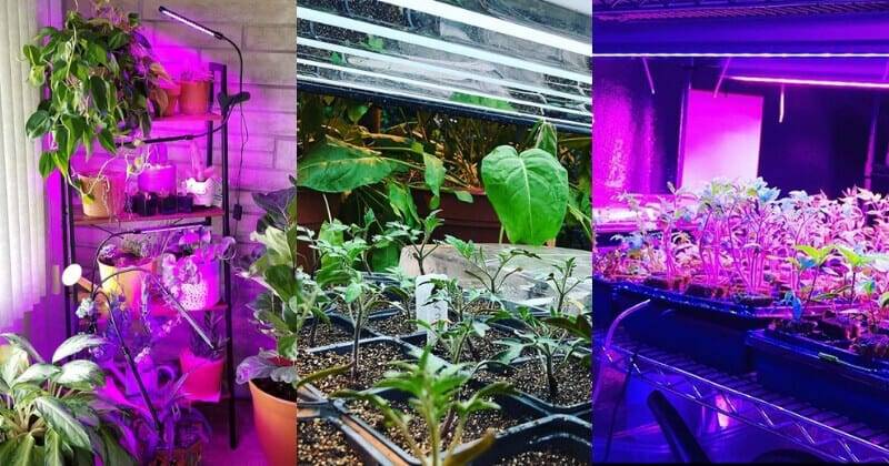 Diy Indoor Greenhouse Ideas