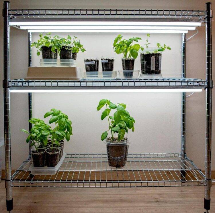 Diy Indoor Greenhouse