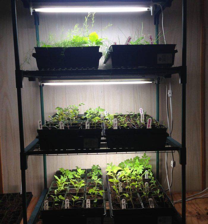 Indoor Gardening Ikea Kryddavxer Series