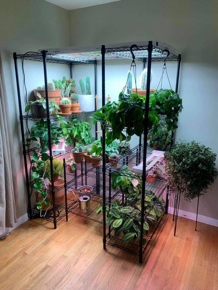 Indoor Vegetable Garden
