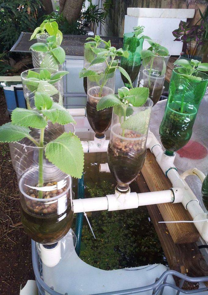 Favourite Vegetable Hydroponic Garden Ideas