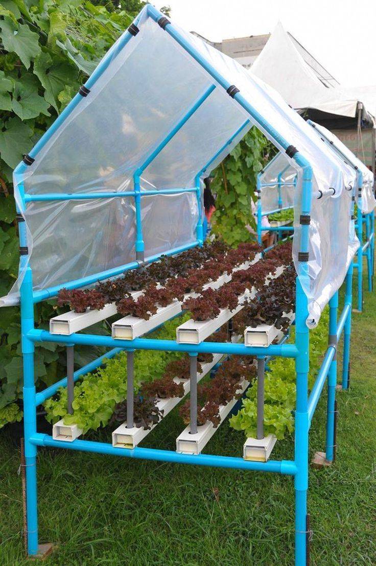 Diy Home Hydroponic Gardening Ideas