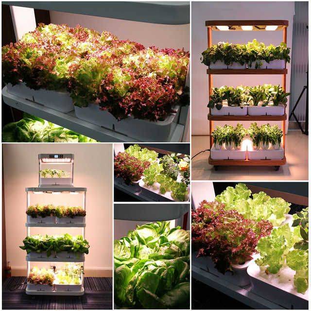 Easy Vertical Garden Pipes Design Ideas Vertical Garden