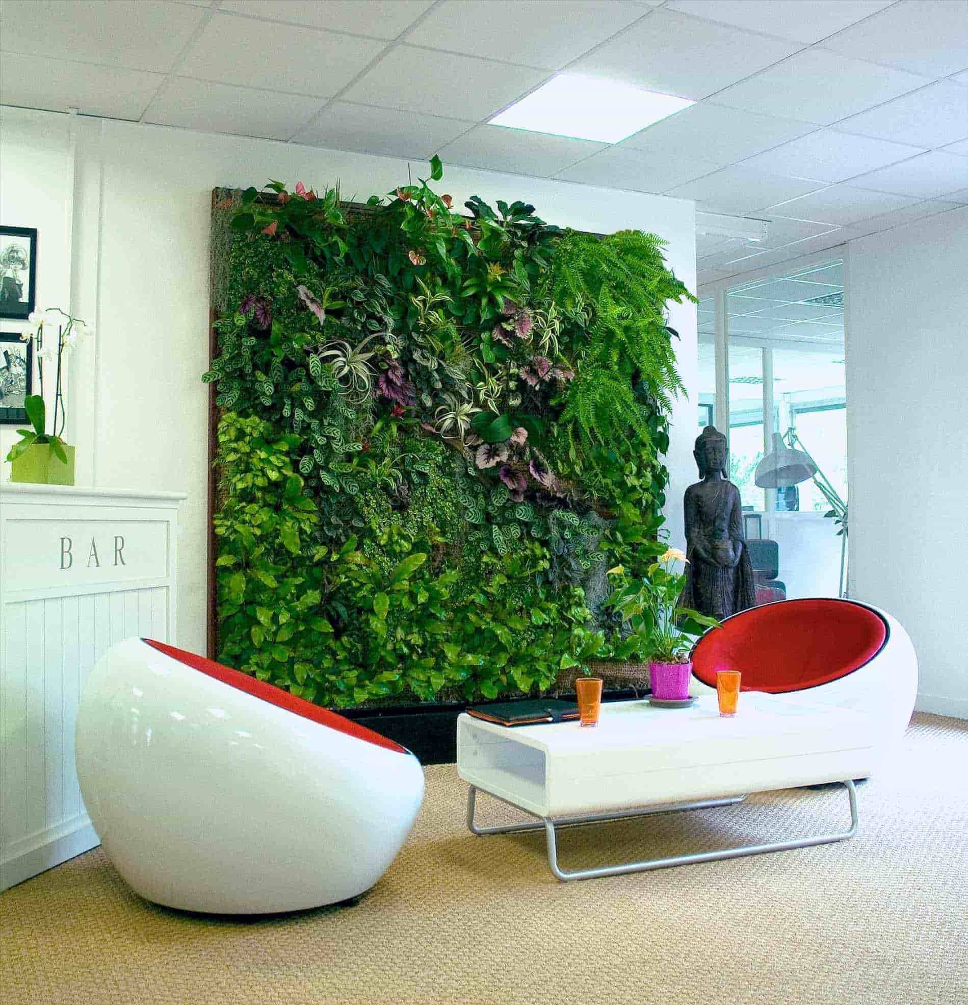 Vertical Garden Services Bangalore