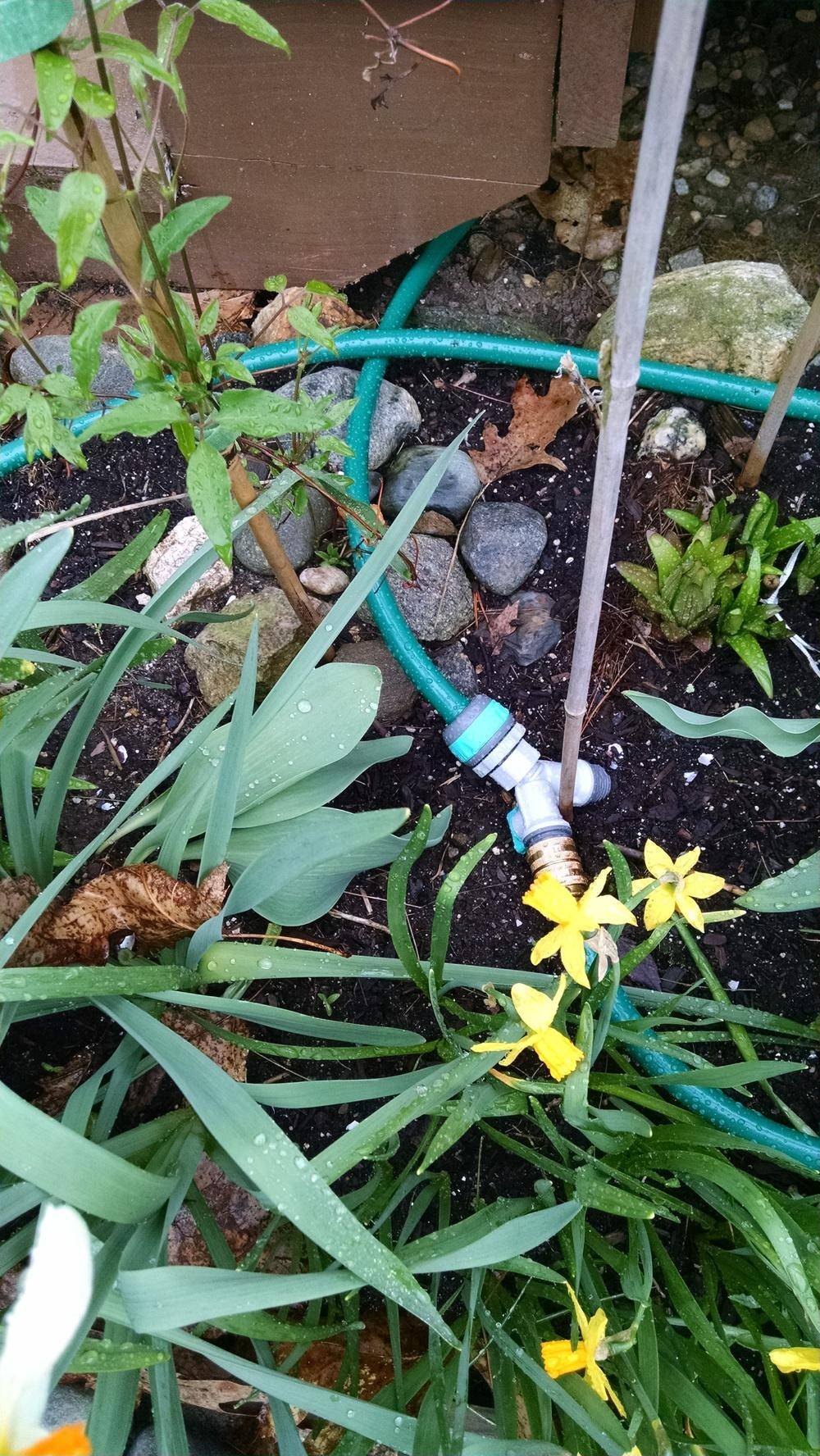 Garden Watering Ideas