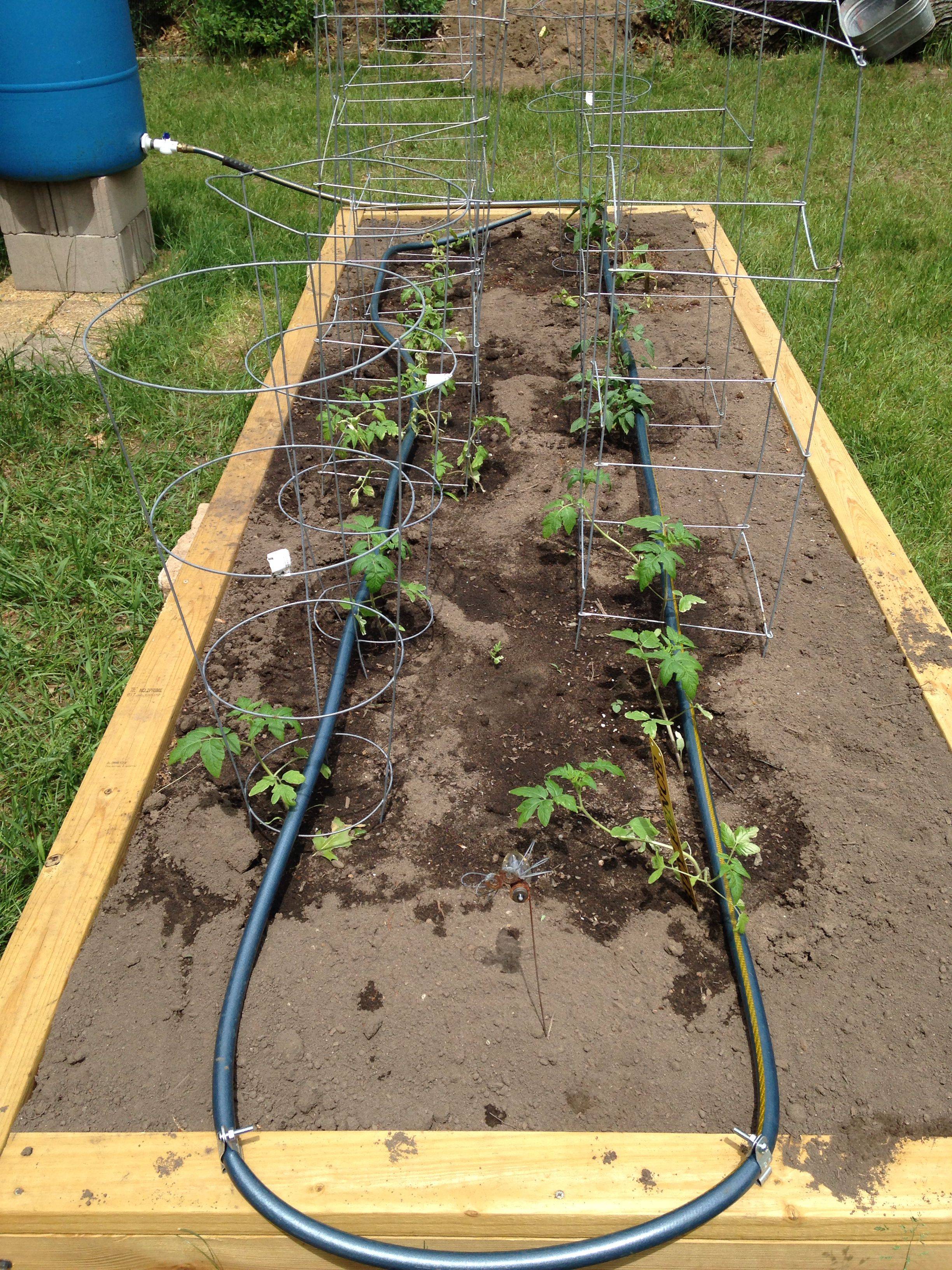 Diy Drip Irrigation