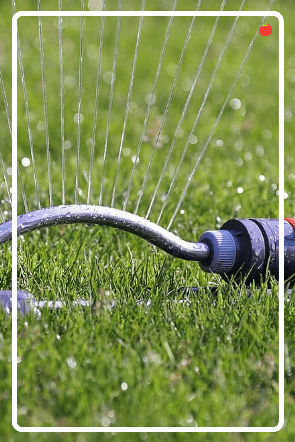 Foodwritingtips Refferal