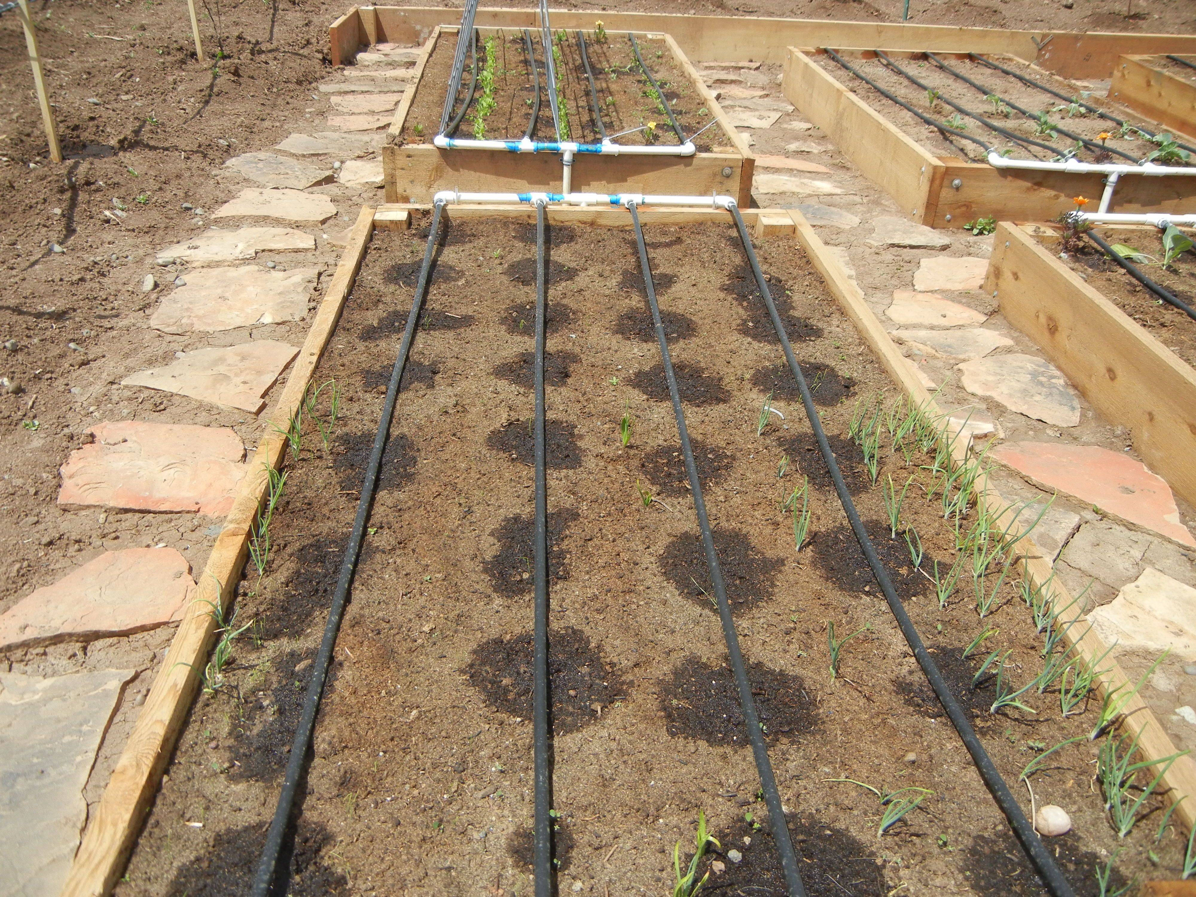 How To Build Raised Garden Beds