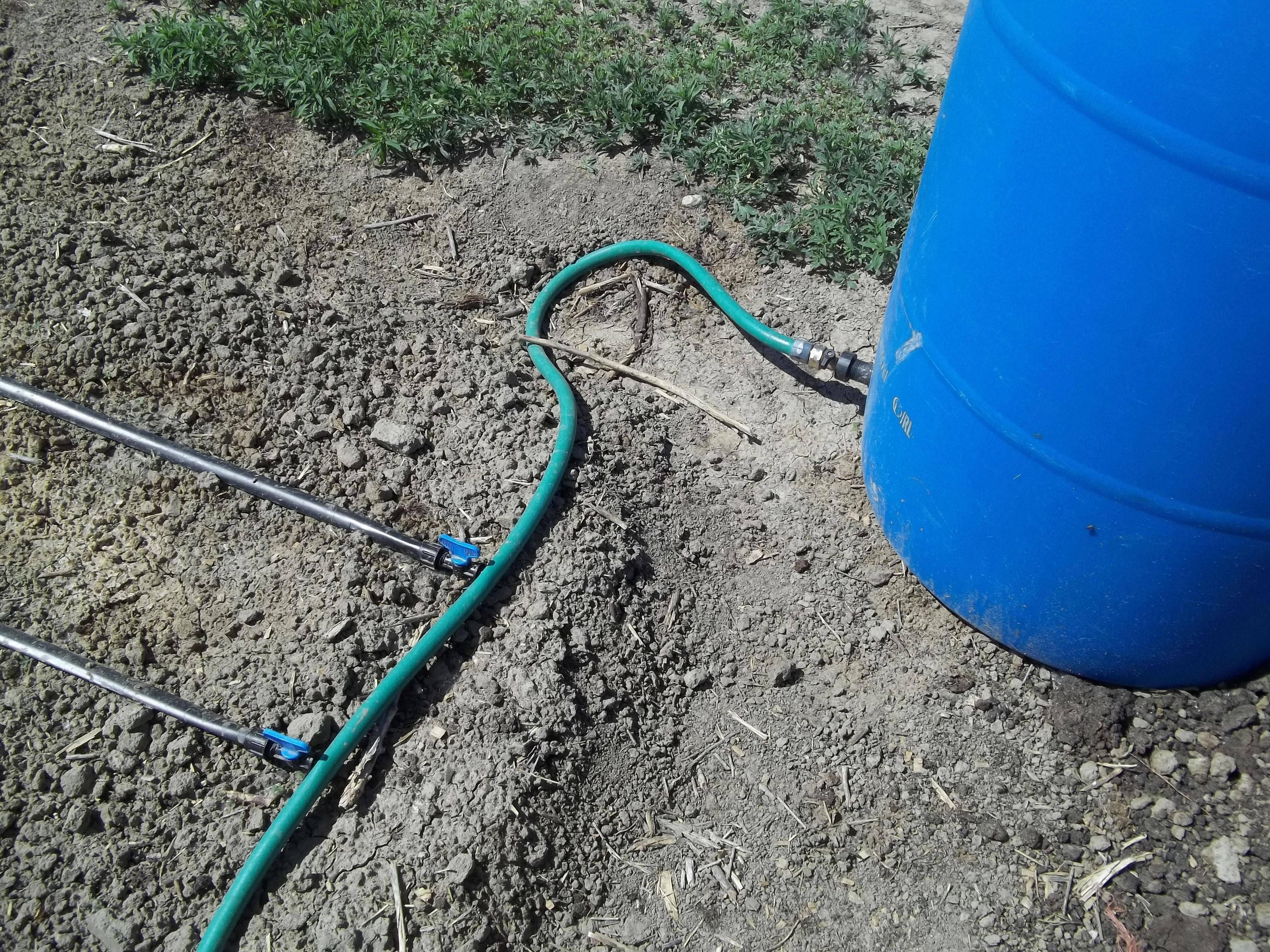 Raised Garden Irrigation Ideas Youtube Photograph Pvc Drip