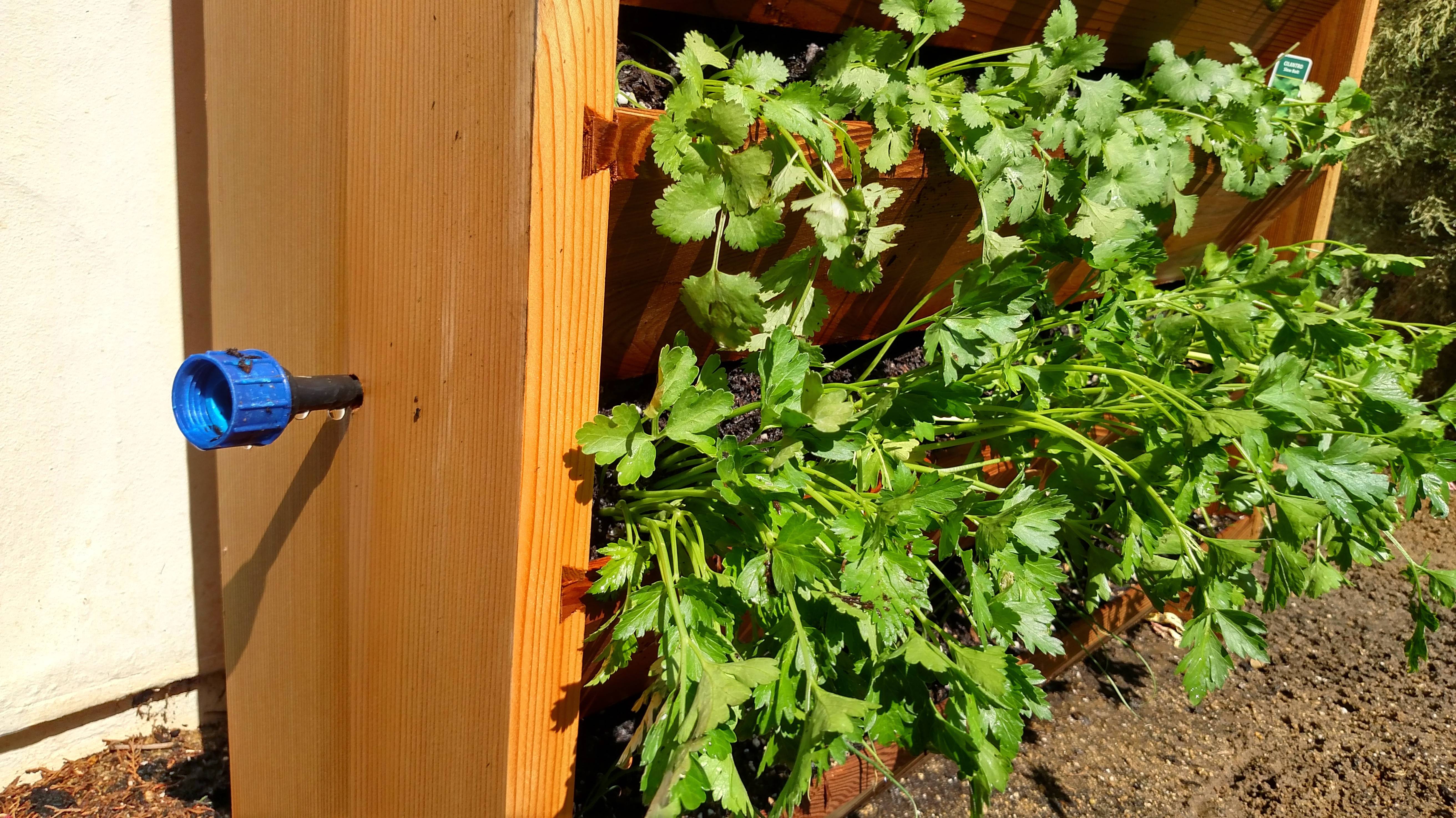 22 Vertical Garden Watering System Ideas You Cannot Miss SharonSable