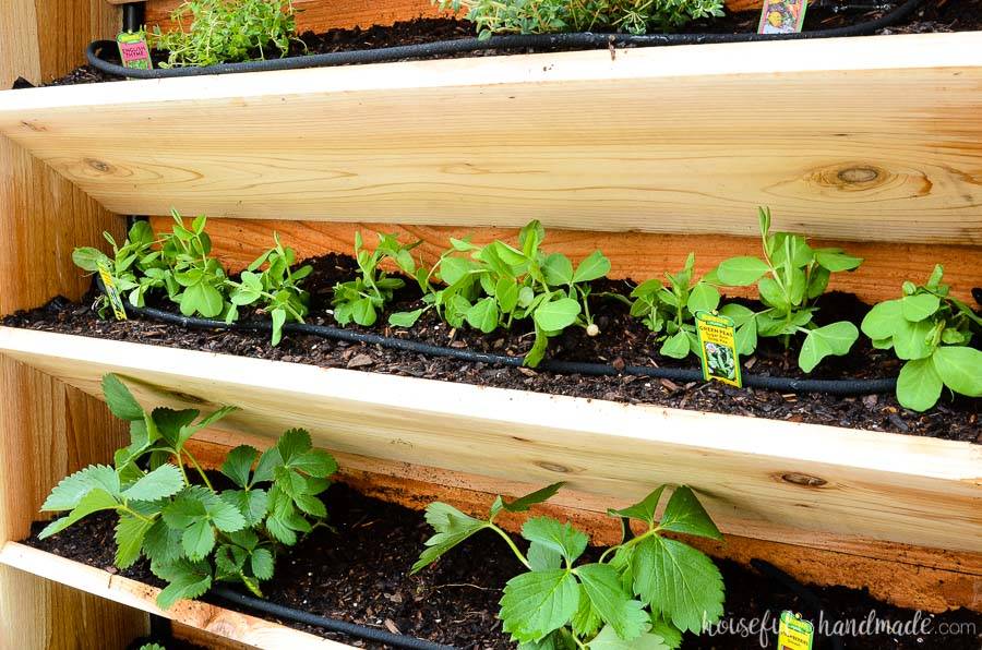 Selfwatering Indoor Vertical Garden Screen Ideas