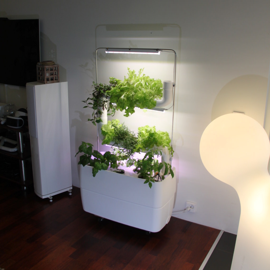 Marvelous Indoor Garden Ideas Combating Lack